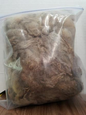 Raw Sheep Wool